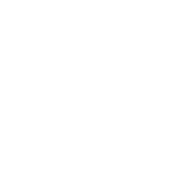 PDFで開く